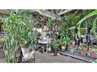 3876 3876 El Camino Real, Palo Alto CA: https://media.crmls.org/mediaz/525953c3-2fe7-4642-a9bb-323535964472.jpg