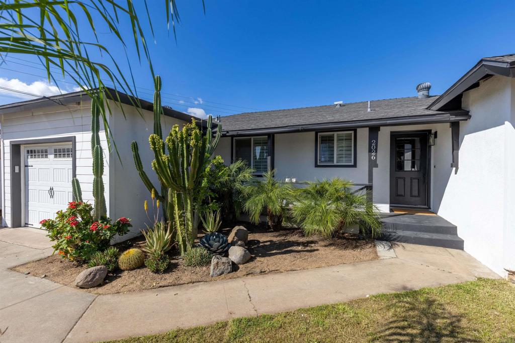 2026 Paddy Place - photo 6