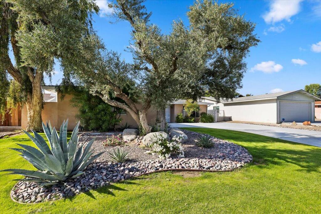 MLS #219139220DA image #4