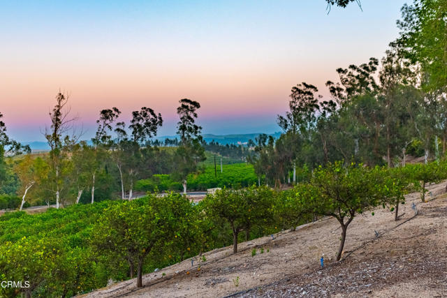 Detail Gallery Image 69 of 75 For 14855 Middle Ranch Rd, Moorpark,  CA 93021 - 3 Beds | 2 Baths