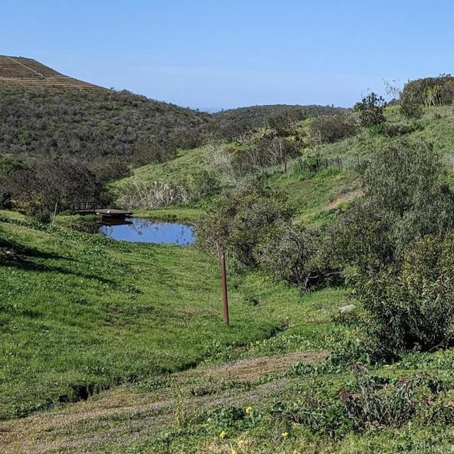 Detail Gallery Image 34 of 40 For 1925 Robinhood Rd, Vista,  CA 92084 - 5 Beds | 4/1 Baths