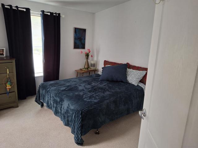 36748 Parrot Mountain Road, Ranchita CA: https://media.crmls.org/mediaz/5282f595-5356-43e4-8e42-e0039a980e13.jpg
