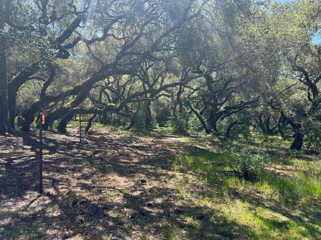 0 Hidden Glen Drive, Scotts Valley CA: https://media.crmls.org/mediaz/52879a31-5ede-4d41-8036-e2e85736a3ed.jpg