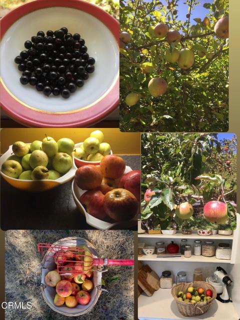 Detail Gallery Image 9 of 52 For 31400 Sherwood Rd, Fort Bragg,  CA 95437 - 3 Beds | 1/1 Baths