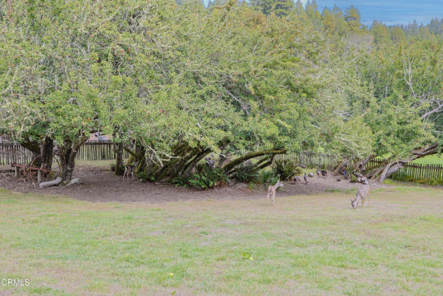 Detail Gallery Image 46 of 74 For 31600 Little Valley Rd, Fort Bragg,  CA 95437 - 3 Beds | 2 Baths