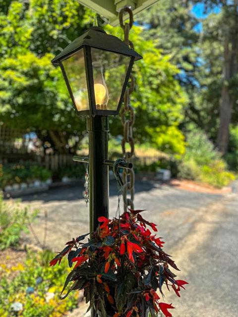 699 Felton Empire Road, Felton CA: https://media.crmls.org/mediaz/529ca640-15da-4080-885e-eafc984bf095.jpg