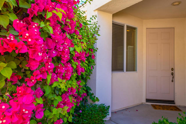 67646 S Natoma Drive, Cathedral City CA: https://media.crmls.org/mediaz/52a9bf0c-da83-4672-9463-9170a47d5b47.jpg