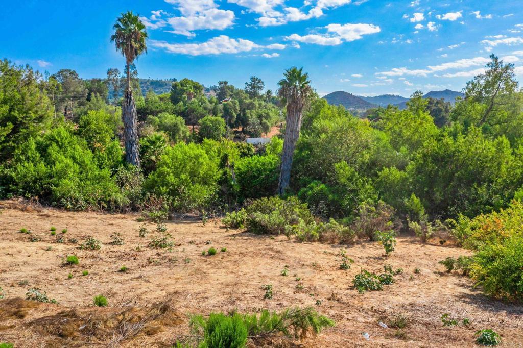 15157 Huntington Court - photo 15