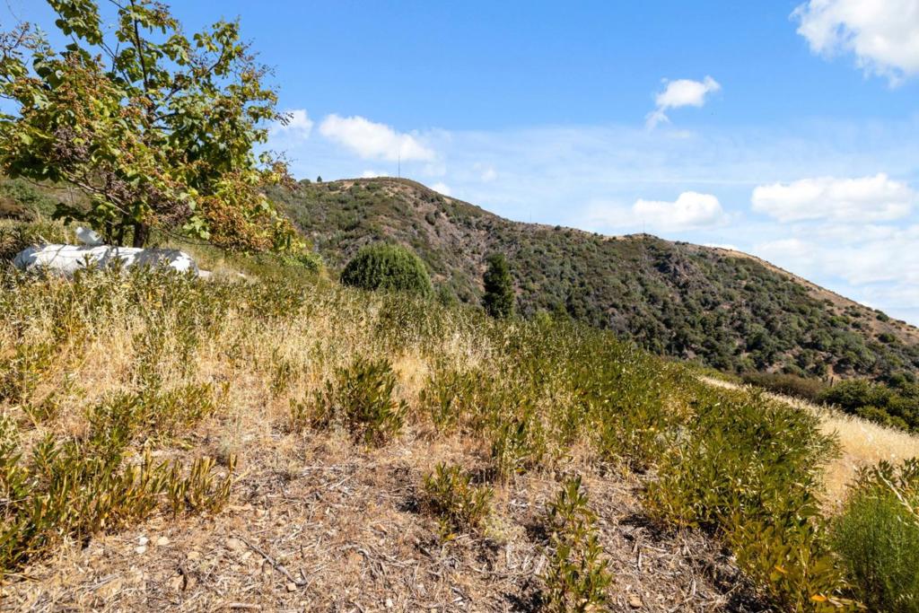 MLS #ML82020952 image #37