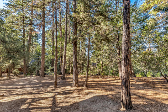 52402 Pine Ridge Road, Idyllwild CA: https://media.crmls.org/mediaz/52b51027-6d5a-48eb-8419-07a63310a9c7.jpg