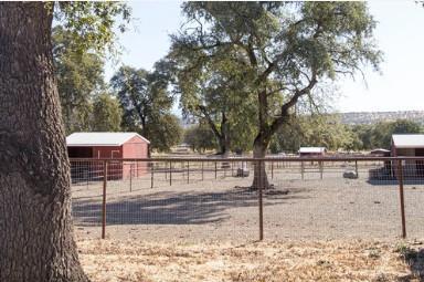 19709 Sweet Brier Place,  CA: https://media.crmls.org/mediaz/52bc1793-6d1f-4ffd-a4a0-05e0784eb1ce.jpg