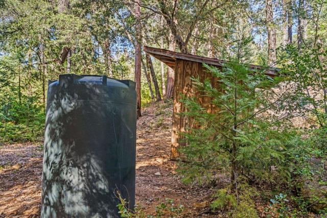 Detail Gallery Image 19 of 30 For 14 +/- Acres Palomar Divide Truck Trl, Palomar Mountain,  CA 92060 - – Beds | – Baths