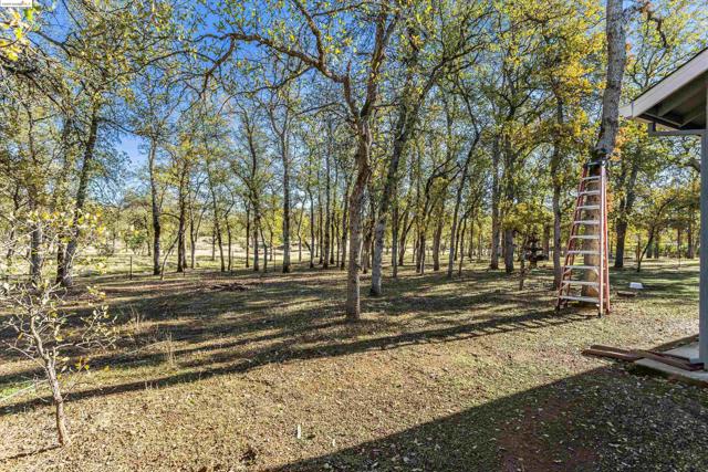 Image 37 of 40 For 8585 Whispering Oaks Rd
