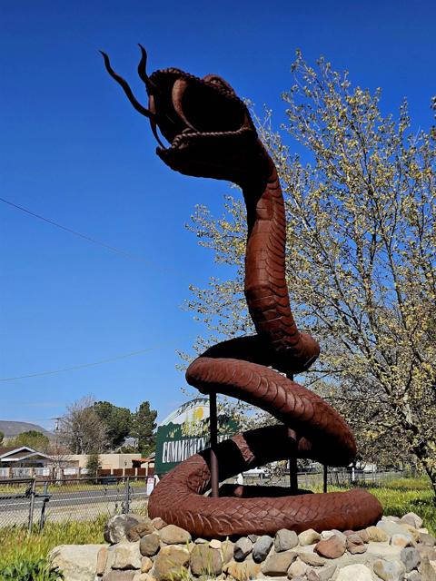 Detail Gallery Image 15 of 23 For 0 Brawley Ave, Jacumba,  CA 91934 - – Beds | – Baths