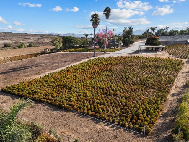 Detail Gallery Image 7 of 51 For 3519 Cazador Ln, Fallbrook,  CA 92028 - 3 Beds | 2 Baths