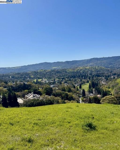 457 Oakshire Place, Alamo CA: https://media.crmls.org/mediaz/52e317ca-f254-4f24-b19a-1ed95107b9f6.jpg