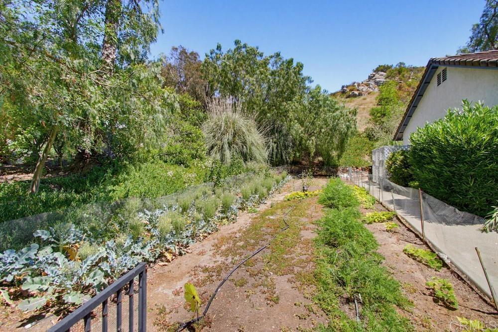 12725 Monte Vista Road - photo 5