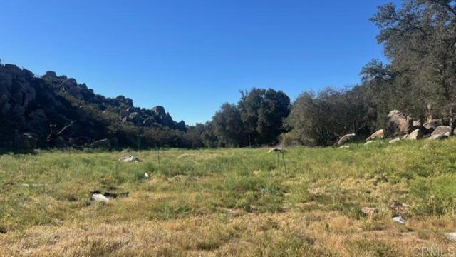 Front Image Thumbnail for CRPTP2602134