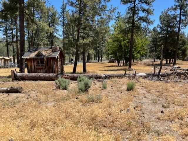 Image 7 of 8 For 59777 Ca-74