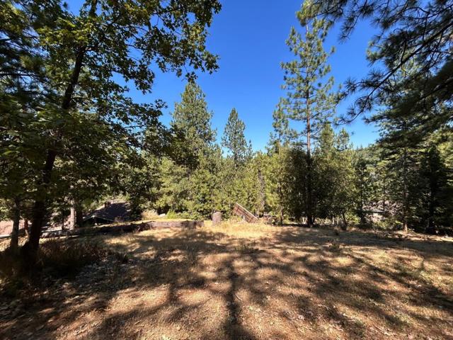 1720 Jacobs Way, Placerville CA: https://media.crmls.org/mediaz/530ad0d1-0230-40ca-9b38-2110d0b62696.jpg