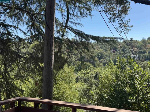 919 Janet Ln, Lafayette CA: https://media.crmls.org/mediaz/531332c6-29c4-4d3e-a64d-2ffdae470d0a.jpg