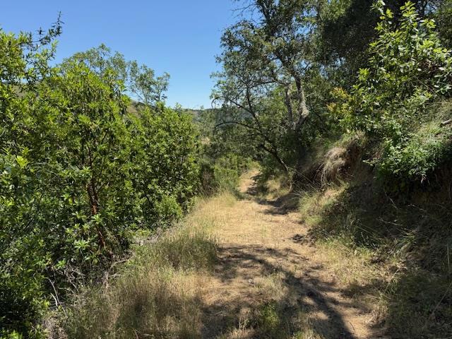 14056 Uvas Road, Morgan Hill CA: https://media.crmls.org/mediaz/5318b37f-352b-4b8c-bd50-c97beb3049a6.jpg