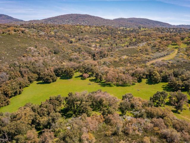Detail Gallery Image 11 of 42 For 342 Acres Mesa Grande Rd, Santa Ysabel,  CA 92070 - – Beds | – Baths