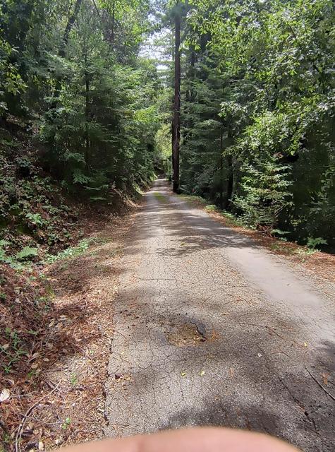 1380 Amaya Ridge Road, Soquel CA: https://media.crmls.org/mediaz/532dc4cd-57d1-48f0-ae62-1b60e08554f0.jpg