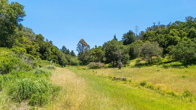 3554 Paul Sweet Road, Santa Cruz CA: https://media.crmls.org/mediaz/532fb918-9fec-4a70-8411-27275c87b768.jpg