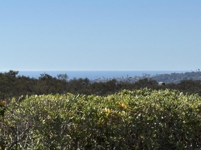 Detail Gallery Image 3 of 51 For 4125 Arcadia Way, Oceanside,  CA 92056 - 2 Beds | 2 Baths