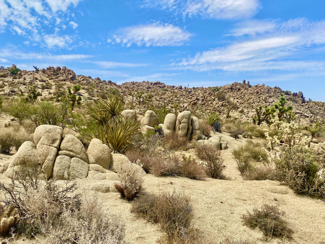 104 Bandera Road, Yucca Valley CA: https://media.crmls.org/mediaz/53371567-2139-4d69-8f9c-f34971031305.jpg