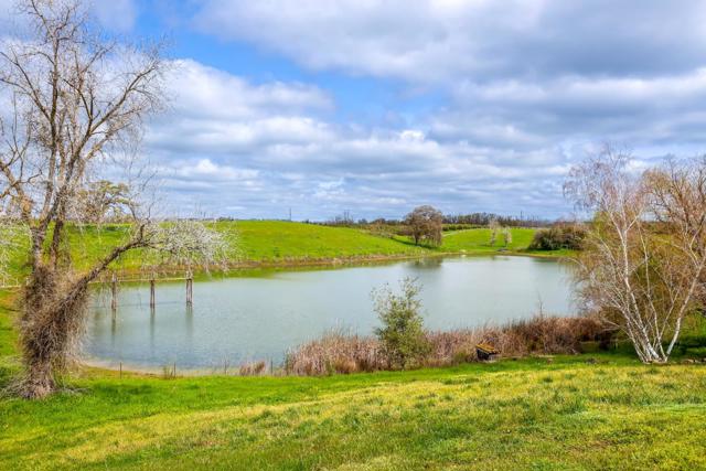 24943 N McIntire Road, Clements CA: https://media.crmls.org/mediaz/5337a5f0-d2ec-429b-890c-95d6aef6dede.jpg