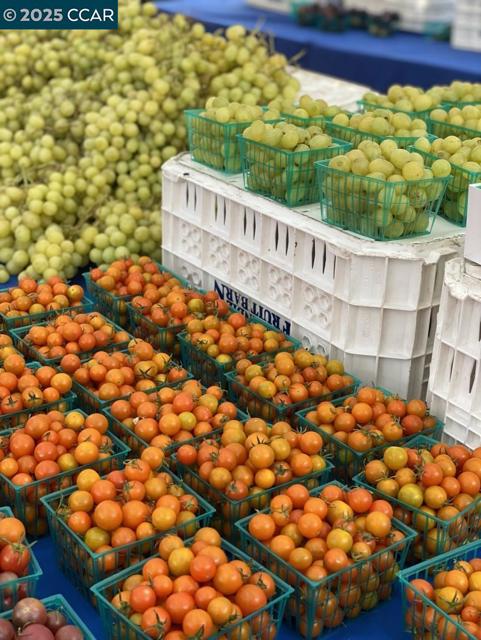 2933 Ptarmigan Dr, Walnut Creek CA: https://media.crmls.org/mediaz/5338640a-e2e8-4fde-b304-a0f0087e73c7.jpg