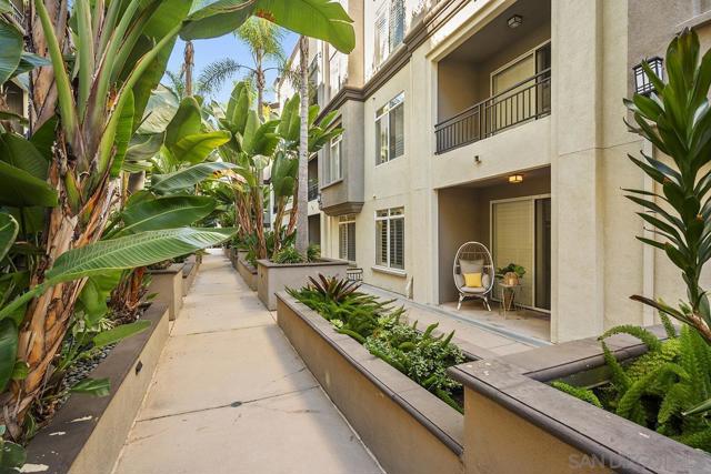 4165 Executive Dr, La Jolla CA: https://media.crmls.org/mediaz/53387e4c-4e54-4da4-8fcd-044bc4a15a02.jpg