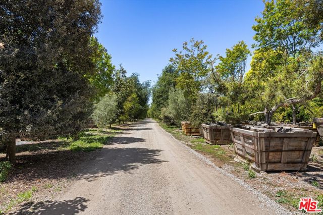 1048 E La Loma Avenue, Somis CA: https://media.crmls.org/mediaz/533bbf87-813d-4d1a-af48-990059b7daef.jpg