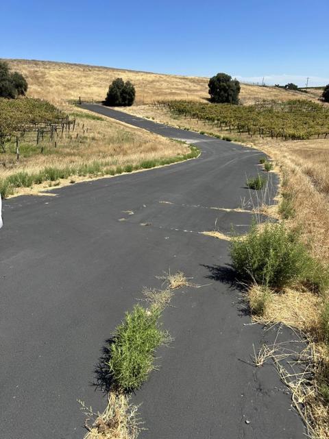 342 Kalthoff Common, Livermore CA: https://media.crmls.org/mediaz/533ca1cf-7805-4d45-858e-2a0743a46118.jpg