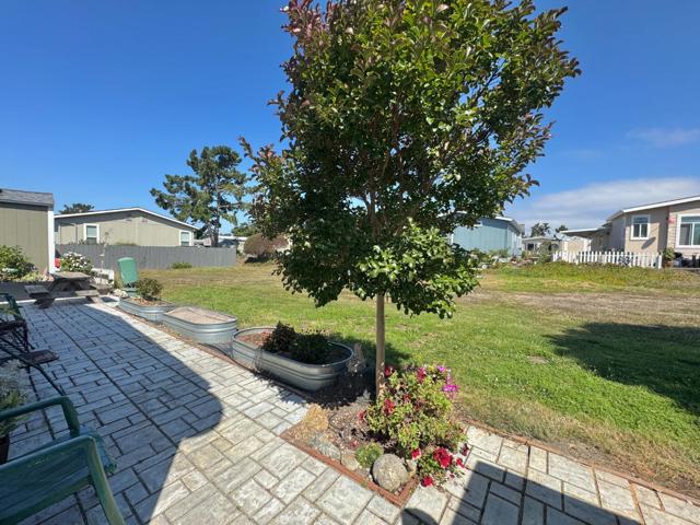 14 Driftwood Trail, Half Moon Bay CA: https://media.crmls.org/mediaz/5341612d-1fe4-456b-b01d-5afa184ec9e6.jpg