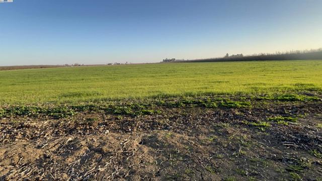1290 Orange Ave, Patterson CA: https://media.crmls.org/mediaz/5348652c-b55d-4fae-804f-d259ff0e388e.jpg
