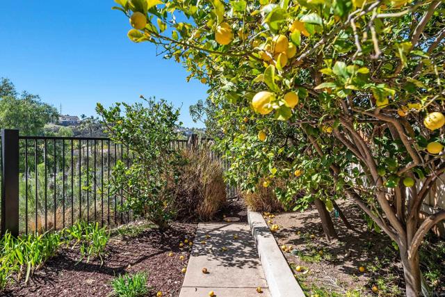 11996 Mil Pitrero Rd, San Diego, California 92128, 5 Bedrooms Bedrooms, ,3 BathroomsBathrooms,Single Family Residence,For Sale,Mil Pitrero Rd,250019981SD