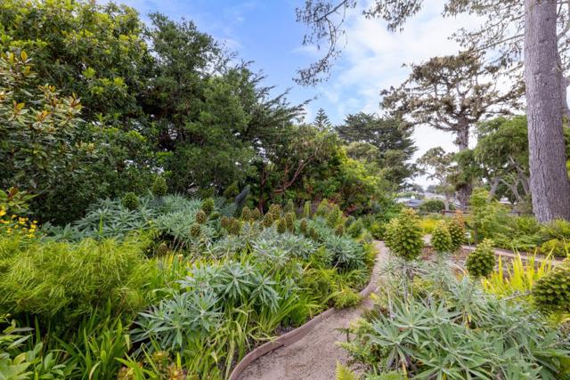 944 Bayview Avenue, Pacific Grove CA: https://media.crmls.org/mediaz/5354b2ec-b660-4e72-8feb-9d88875b6c5e.jpg