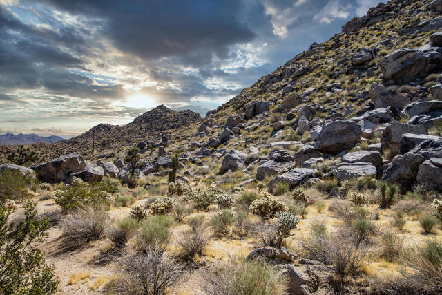 61093 Prescott Trail, Joshua Tree CA: https://media.crmls.org/mediaz/535914f3-86dc-4e58-a348-be068c4c5f33.jpg