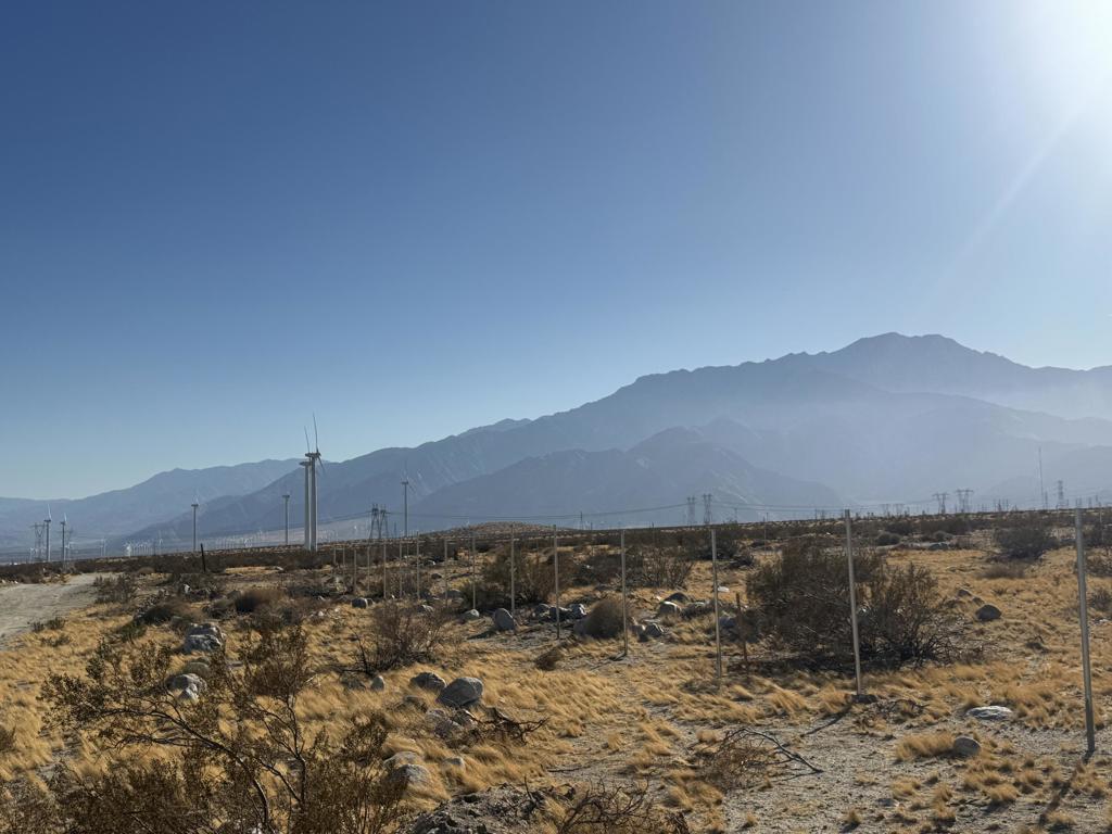 MLS #219131666DA image #14