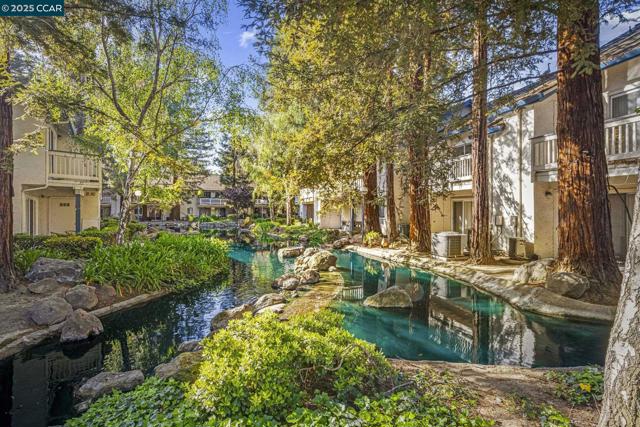 1117 Indian Summer Ct, San Jose CA: https://media.crmls.org/mediaz/536e26e1-c161-4939-8aba-896d7b1970ba.jpg