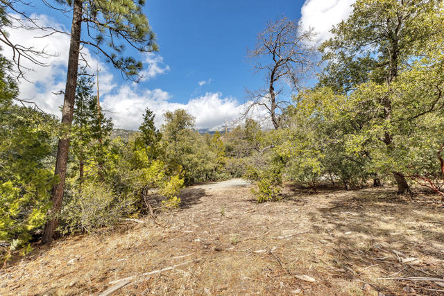 53184 Double View Drive, Idyllwild CA: https://media.crmls.org/mediaz/536ee61c-2be9-42c5-9275-74c9c89fe942.jpg