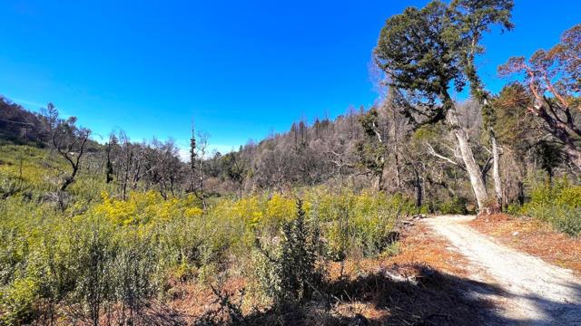 11035 Empire Grade, Santa Cruz CA: https://media.crmls.org/mediaz/53791153-6f0f-4e6e-aaf1-ab36a54ba9d1.jpg