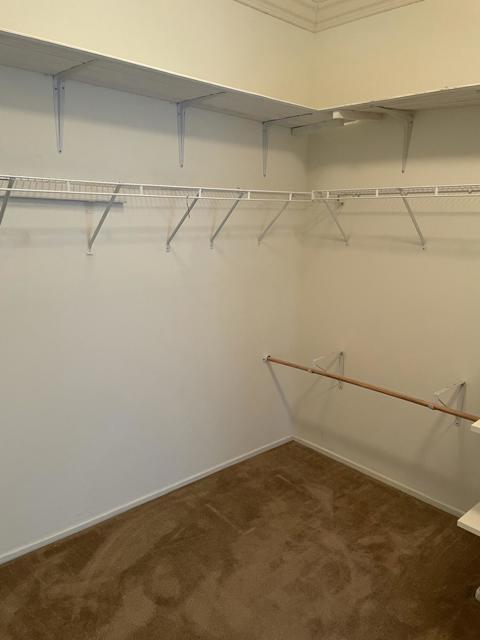 117 Arabian Court, San Jacinto CA: https://media.crmls.org/mediaz/5383e5f9-1268-4c5b-aae3-772b97513478.jpg