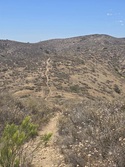 9684 LUTHERAN WAY, Santee CA: https://media.crmls.org/mediaz/53863f39-fde1-454f-8852-c1be36f99b96.jpg