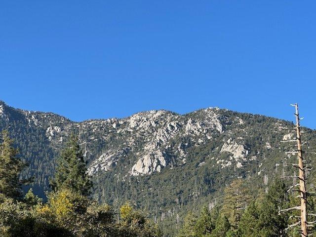 0 Howland Road, Idyllwild CA: https://media.crmls.org/mediaz/53881342-49f2-43ff-a6a3-6a5a749a7664.jpg