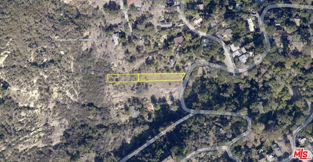 919 Fernwood photo 6