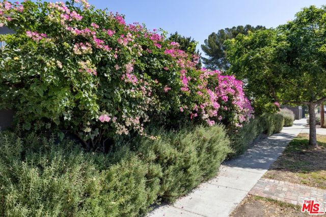 800 N Rose Street, Burbank CA: https://media.crmls.org/mediaz/538d0351-8f2b-4b94-bb6c-23ff459c072b.jpg